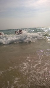 We go with scooters other beach. There was big waves, they get 2 Meters high.