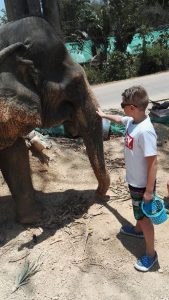 We went feed a baby elephant. She like bananas very mutch.